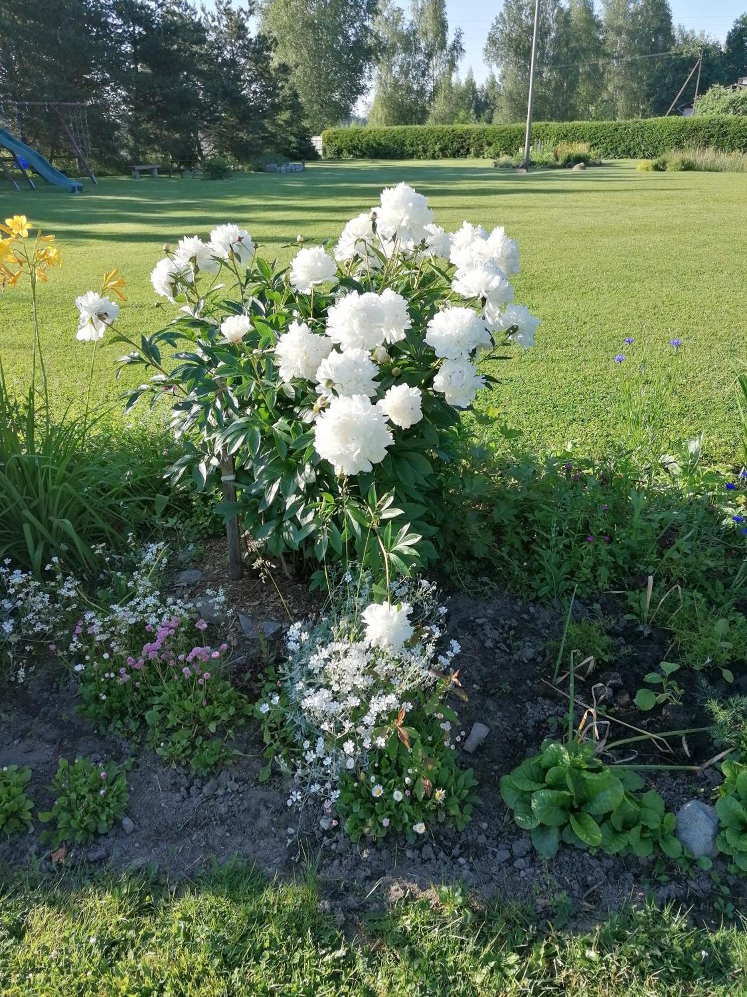 Villa River Rose Jõesuu Buitenkant foto